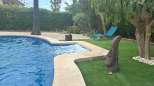 inmotaboo